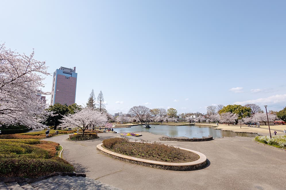 さちの池